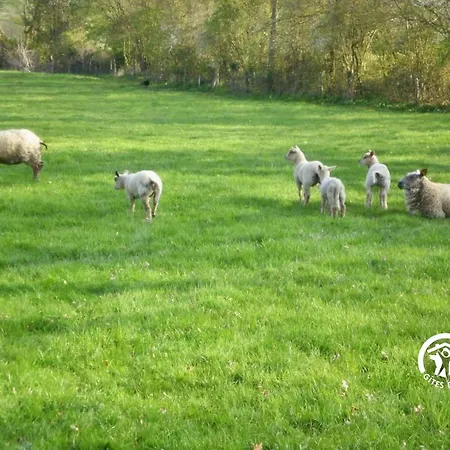 La Hérissière Bazouges